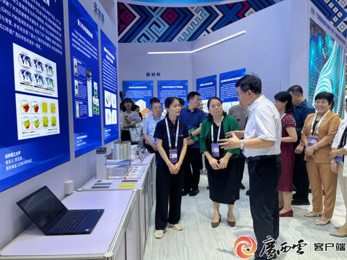 桂字号顶尖科技成果闪耀北京科博会，信息技术咨询服务引领创新浪潮